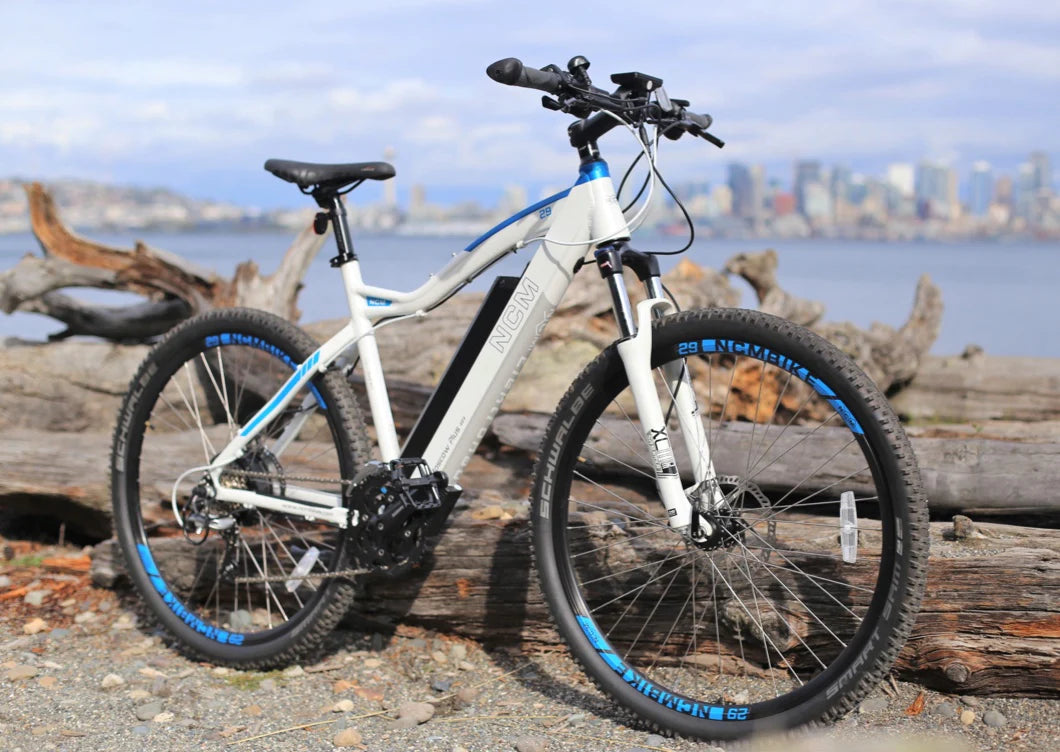 canadian electric bikes